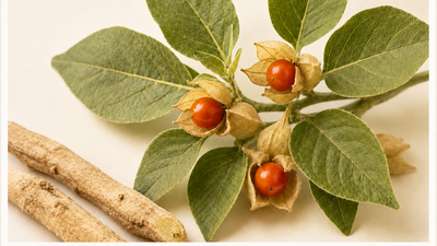 Ashwagandha